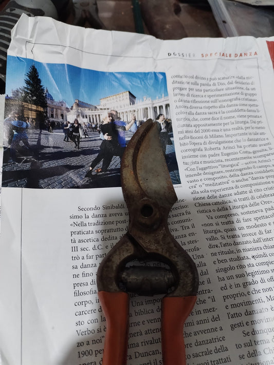 AFFILATURA E PULITURA FORBICE DA POTA