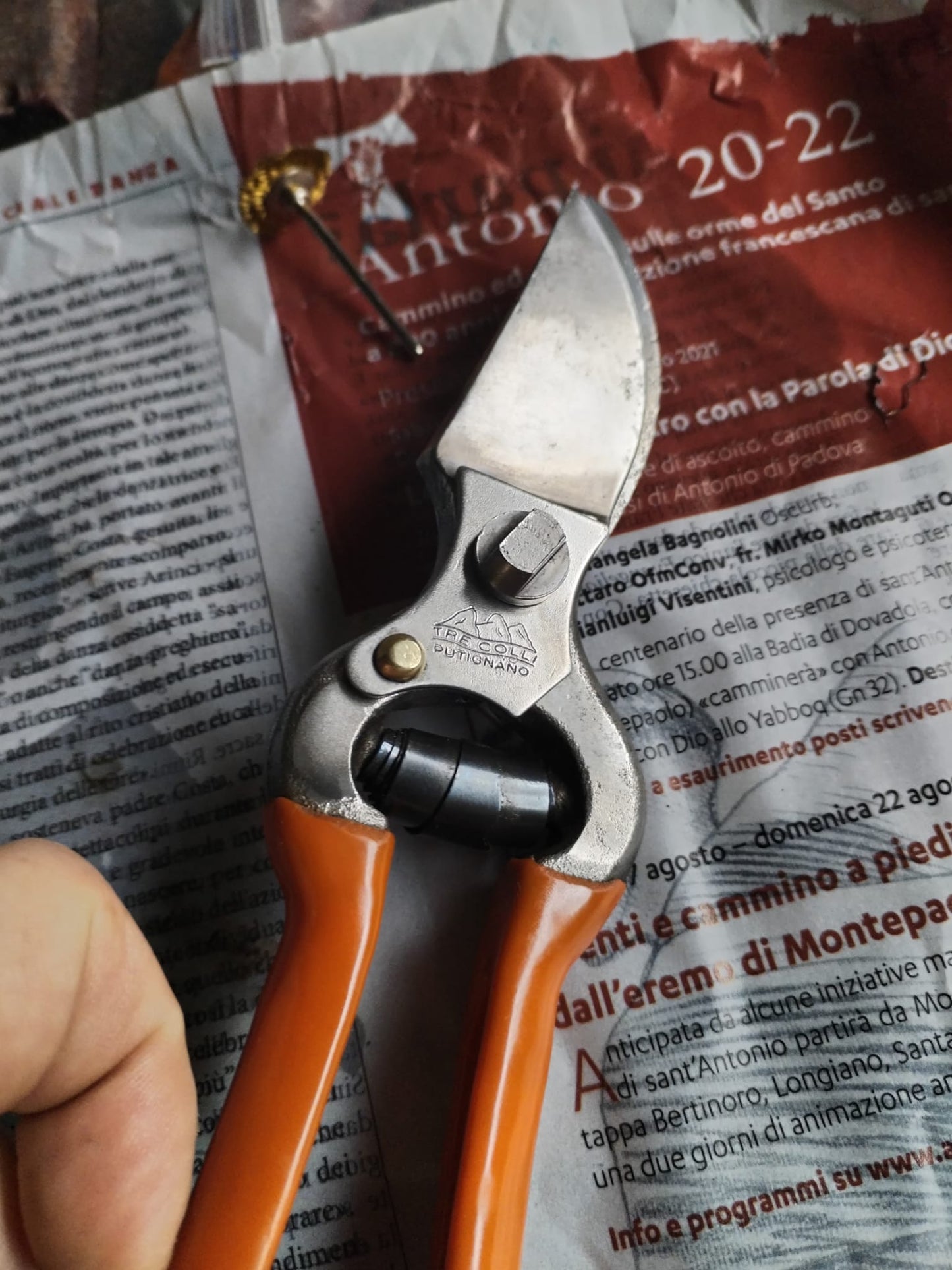 AFFILATURA E PULITURA FORBICE DA POTA