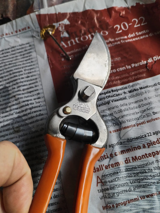 AFFILATURA E PULITURA FORBICE DA POTA