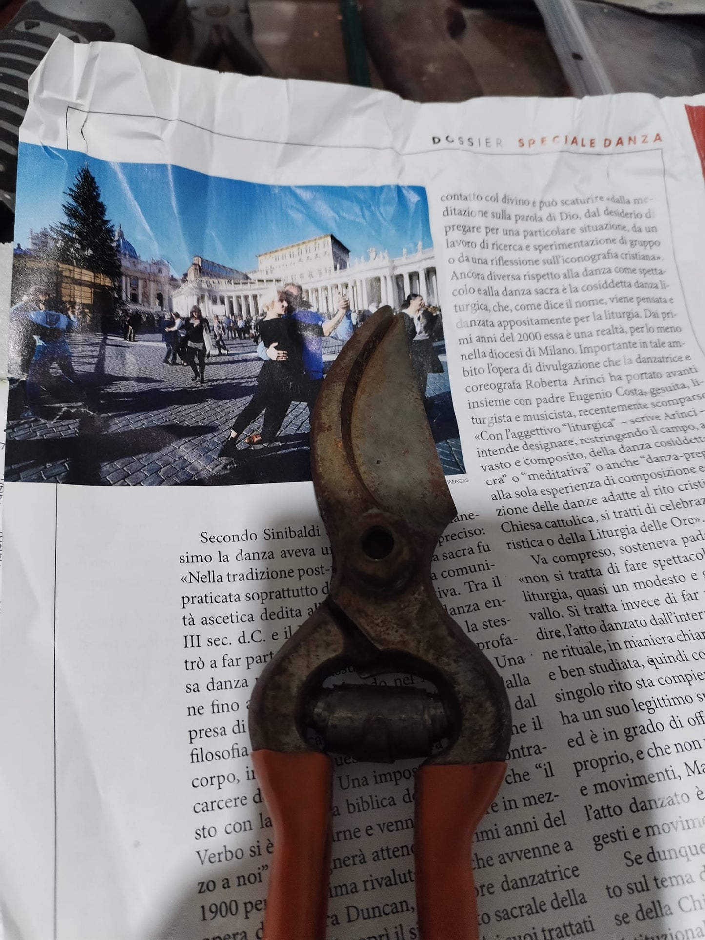 AFFILATURA E PULITURA FORBICE DA POTA