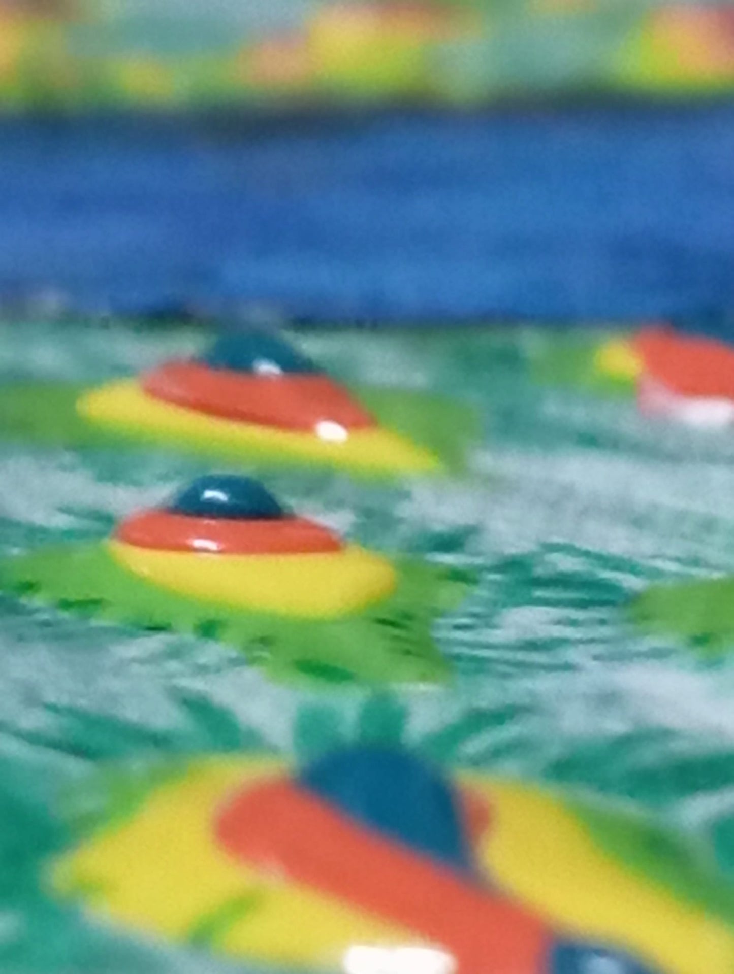 "PAVONE CON PIUME 3D" PEZZO UNICO